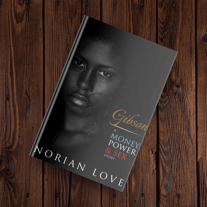 Flat lay of Gibson: A Money, Power & Sex Story -by Norian Love against a wood background 