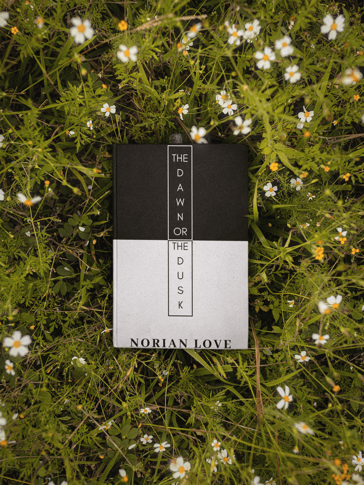 The Dawn or the Dusk - Norian Love